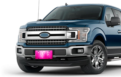 Wild Berry License Plate