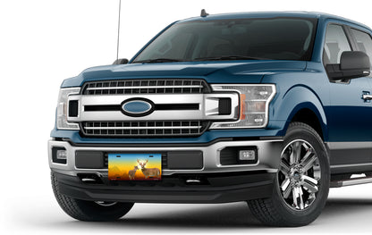 Deer on Full Color License Plate