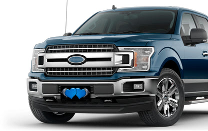 Dolphins and Blue Hearts on Black License Plate