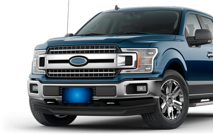 Blue Ringer License Plate