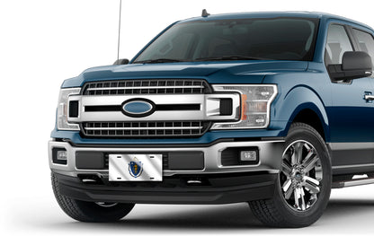 Wavy Massachusetts State Flag License Plate