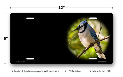 Blue Jay on Black Offset License Plate