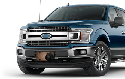 Black Poodle on Paw Prints License Plate