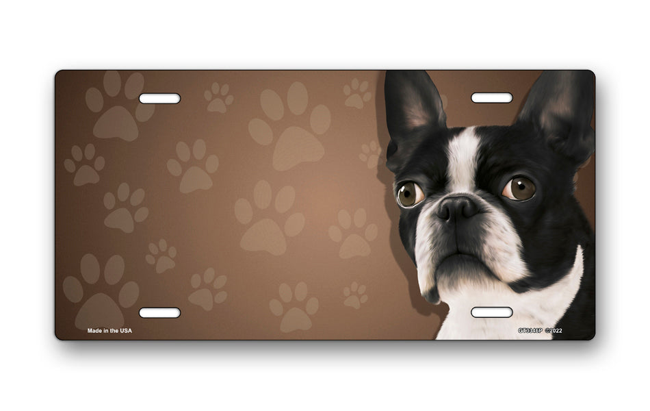 Boston Terrier on Paw Prints License Plate