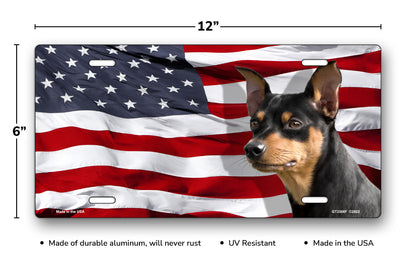 Mini Pin on American Flag License Plate