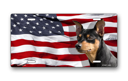 Mini Pin on American Flag License Plate