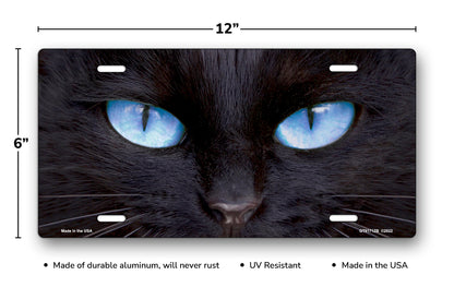 Black Cat with Blue Eyes License Plate