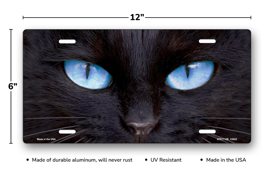 Black Cat with Blue Eyes License Plate