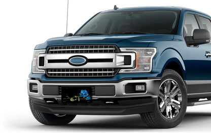 Blue Roses on Black Offset License Plate