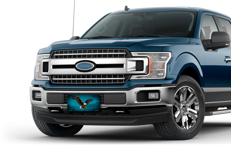 Bald Eagle on Teal License Plate