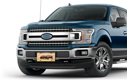 Buffalo License Plate