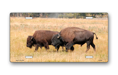 Buffalo License Plate