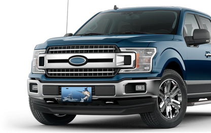 Salty Bones Marlin Fishing License Plate